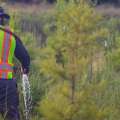 Watering Trees in Summer: Helping Young Trees Beat the Texas Heat