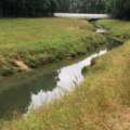 Addressing Erosion Along Pillot Gully